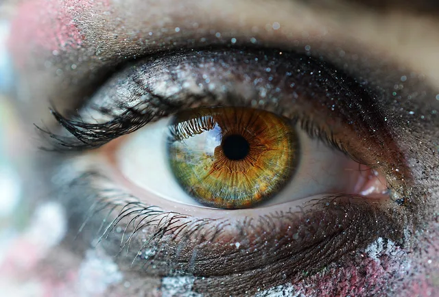 eye, lens, photography, green, orange, human, face, eyelashes, vision, portrait, sparkle, glitter, makeu, eye, eye, eye, eye, eye. Why lookalike quizzes measure the eye you already have