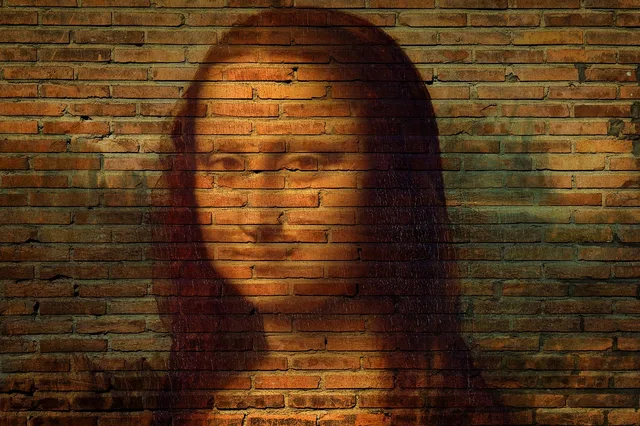 mona lisa, portrait, art, leonardo, renaissance, famous, mona lisa, mona lisa, mona lisa, mona lisa, mona lisa. Historical figure lookalike face match: portrait limits